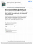 Research paper thumbnail of Bioaccumulation and effect of cadmium in the photosynthetic apparatus of Prosopis juliflora