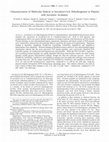 Research paper thumbnail of Characterization of Molecular Defects in Isovaleryl-CoA Dehydrogenase in Patients with Isovaleric Acidemia