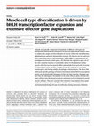 Research paper thumbnail of Muscle cell-type diversification is driven by bHLH transcription factor expansion and extensive effector gene duplications