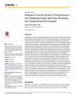 Research paper thumbnail of Analyses of Sox-B and Sox-E Family Genes in the Cephalopod Sepia officinalis: Revealing the Conserved and the Unusual