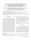 Research paper thumbnail of Actinobacterias de la rizosfera del aguacate: actividad antagónica contra Colletotrichum gloeosporioides y Xanthomonas sp