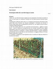 Research paper thumbnail of peronospora della vite, una lotta lunga un secolo