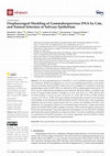 Research paper thumbnail of Oropharyngeal Shedding of Gammaherpesvirus DNA by Cats, and Natural Infection of Salivary Epithelium