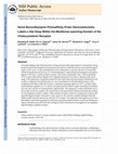 Research paper thumbnail of Novel Benzodiazepine Photoaffinity Probe Stereoselectively Labels a Site Deep within the Membrane-Spanning Domain of the Cholecystokinin Receptor