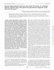 Research paper thumbnail of Spatial Approximation between the Amino Terminus of a Peptide Agonist and the Top of the Sixth Transmembrane Segment of the Secretin Receptor