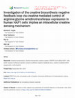 Research paper thumbnail of Investigation of the creatine biosynthesis negative feedback loop via creatine mediated control of arginine:glycine amidinotransferase expression in human HAP1 cells implies an intracellular creatine sensing mechanism