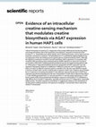 Research paper thumbnail of Evidence of an intracellular creatine-sensing mechanism that modulates creatine biosynthesis via AGAT expression in human HAP1 cells