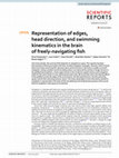 Research paper thumbnail of Representation of edges, head direction, and swimming kinematics in the brain of freely-navigating fish