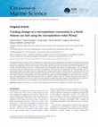 Research paper thumbnail of Tracking changes to a microplankton community in a North Atlantic sea loch using the microplankton index PI(mp)