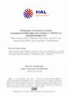 Research paper thumbnail of Mechanism of activation of plant monogalactosyldiacylglycerol synthase 1 (MGD1) by phosphatidylglycerol