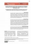 Research paper thumbnail of O efeito vinculante das decisões proferidas pelos Tribunais Superiores e pela Suprema Corte Constitucional no Direito Processual Civil