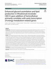 Research paper thumbnail of Enhanced glycerol assimilation and lipid production in Rhodotorula toruloides CBS14 upon addition of hemicellulose primarily correlates with early transcription of energy-metabolism-related genes