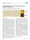 Research paper thumbnail of Cyanoacetohydrazide under Pressure: Chemical Changes in a Hydrogen-Bonded Material