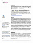 Research paper thumbnail of Agro-morphological and molecular diversity in different maturity groups of Indian cauliflower (Brassica oleracea var. botrytis L.)