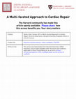 Research paper thumbnail of A Multi-faceted Approach to Cardiac Repair