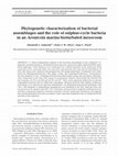 Research paper thumbnail of Phylogenetic characterisation of bacterial assemblages and the role of sulphur-cycle bacteria in an Arenicola marina bioturbated mesocosm