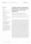 Research paper thumbnail of Collagen molecular organization preservation in human fascia lata and periosteum after tissue engineering