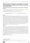 Research paper thumbnail of Padrão espacial e temporal de mortalidade por acidente vascular cerebral no estado do Ceará, Brasil, no período entre 2009 e 2019 Spatial and temporal patterns of stroke mortality in Ceará State, Brazil, between 2009 and 2019