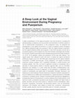 Research paper thumbnail of A Deep Look at the Vaginal Environment During Pregnancy and Puerperium