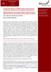 Research paper thumbnail of Os imigrantes ilegais da Colômbia, Bolívia e Haiti no Brasil: considerações do ponto de vista da Segurança Internacional / Illegal immigrants from Colombia, Bolivia and Haiti in Brazil: reflections from the International Security Studies' perspective