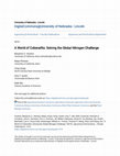 Research paper thumbnail of The Indian Nitrogen Challenge in a Global Perspective