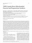 Research paper thumbnail of TSPO Ligands Boost Mitochondrial Function and Pregnenolone Synthesis