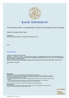 Research paper thumbnail of The urban domino effect: a conceptualization of cities’ interconnectedness of risk, Input paper