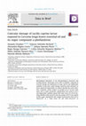 Research paper thumbnail of Cuticular damage of Lucilia cuprina larvae exposed to Curcuma longa leaves essential oil and its major compound α-phellandrene