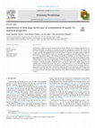 Research paper thumbnail of Identification of third stage larval types of cyathostomins of equids: An improved perspective