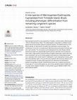 Research paper thumbnail of A new species of Macrocypraea (Gastropoda, Cypraeidae) from Trindade Island, Brazil, including phenotypic differentiation from remaining congeneric species