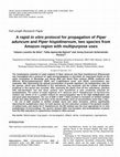 Research paper thumbnail of A rapid in vitro protocol for propagation of Piper aduncum and Piper hispidinervum, two species from Amazon region with multipurpose uses