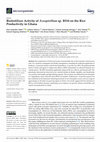 Research paper thumbnail of Biofertilizer Activity of Azospirillum sp. B510 on the Rice Productivity in Ghana