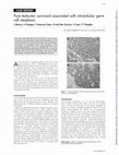 Research paper thumbnail of Pure testicular carcinoid associated with intratubular germ cell neoplasia