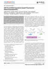 Research paper thumbnail of Self‐Assembled Squalene‐based Fluorescent Heteronanoparticles