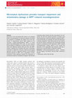 Research paper thumbnail of Microtubule dysfunction precedes transport impairment and mitochondria damage in MPP+-induced neurodegeneration