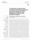 Research paper thumbnail of The Sporothrix schenckii Gene Encoding for the Ribosomal Protein L6 Has Constitutive and Stable Expression and Works as an Endogenous Control in Gene Expression Analysis