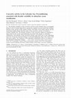 Research paper thumbnail of Convective activity in the Labrador Sea: Preconditioning associated with decadal variability in subsurface ocean stratification