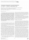 Research paper thumbnail of Temperature-Dependent Functional Expression of a Plant K+ Channel in Mammalian Cells