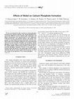 Research paper thumbnail of Effects of Nickel on Calcium Phosphate Formation