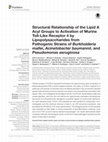 Research paper thumbnail of Structural Relationship of the Lipid A Acyl Groups to Activation of Murine Toll-Like Receptor 4 by Lipopolysaccharides from Pathogenic Strains of Burkholderia mallei, Acinetobacter baumannii, and Pseudomonas aeruginosa