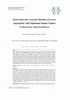 Research paper thumbnail of HIZLI GELİŞEN DAR YAPRAKLI DİŞBUDAK (Fraxinus angustifolia Vahl) ODUNUNUN ORMAN ÜRÜNLERİ ENDÜSTRİSİNDE DEĞERLENDİRİLMESİ