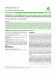 Research paper thumbnail of Identification of novel late blight resistance source in wild potato species and interspecific somatic hybrids, and their distinctness, uniformity and stability (DUS) characterization