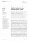 Research paper thumbnail of Changing biosynthesis of terpenoid percursors in rice through synthetic biology