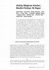 Research paper thumbnail of Uluköy Mağarası Kazıları, Mardin/Türkiye: İlk Rapor