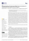 Research paper thumbnail of Characterization of Carnivorous Plants Sarracenia purpurea L. Transformed with Agrobacterium rhizogenes