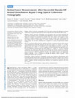 Research paper thumbnail of Retinal Layer Measurements After Successful Macula-Off Retinal Detachment Repair Using Optical Coherence Tomography