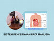 Research paper thumbnail of IPA KELAS 8 SISTEM PENCERNAAN PADA MANUSIA