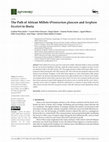 Research paper thumbnail of The Path of African Millets (Pennisetum glaucum and Sorghum
bicolor) to Iberia