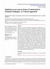 Research paper thumbnail of Staphylococcus aureus from a Commensal to Zoonotic Pathogen: A Critical Appraisal