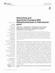 Research paper thumbnail of Networking and Specificity-Changing DNA Methyltransferases in Helicobacter pylori